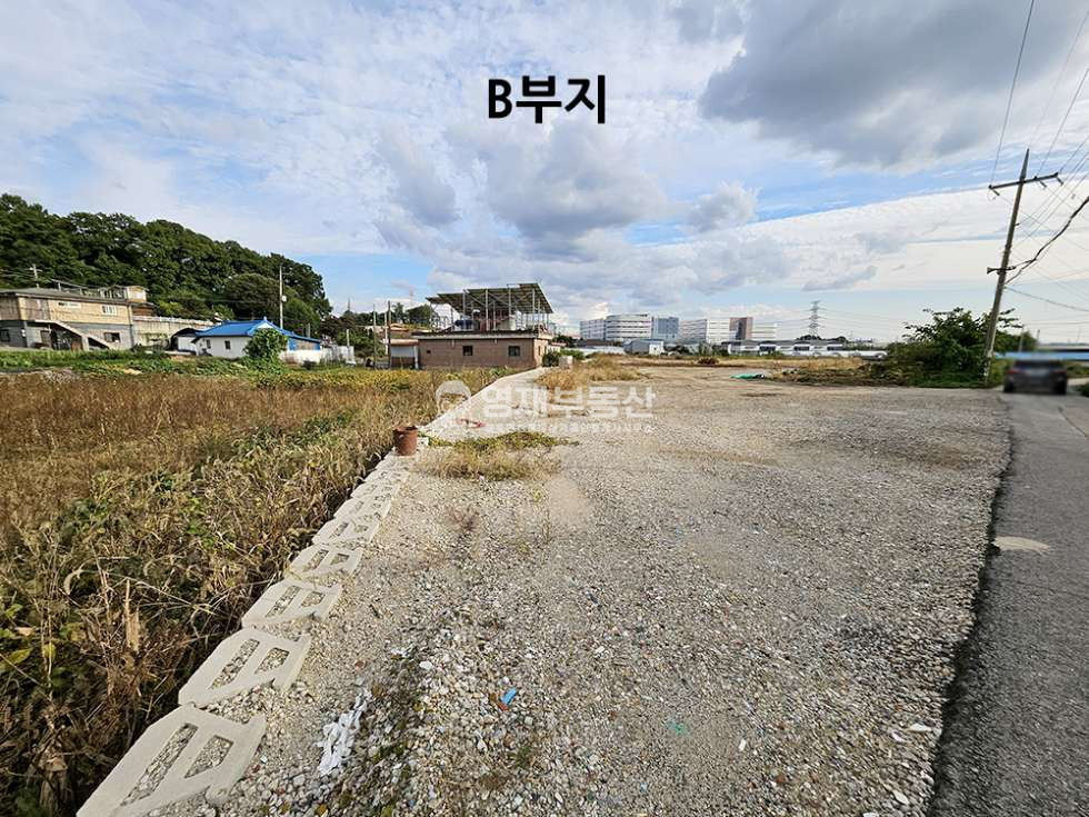 경기 김포시 대곶면 대벽리 대벽리 토목공사 완료 토지 매매 매매 매물번호 11161 사진 4