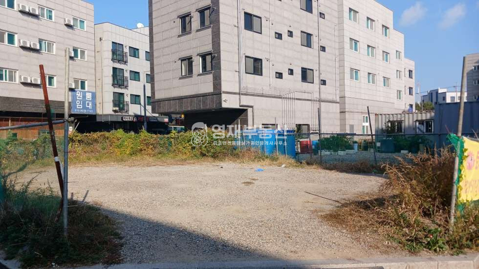 경기 김포시 양촌읍 학운리 코너 대지 매매 수익형건물 건축 가능 70평 매매 매물번호 10227 사진 3