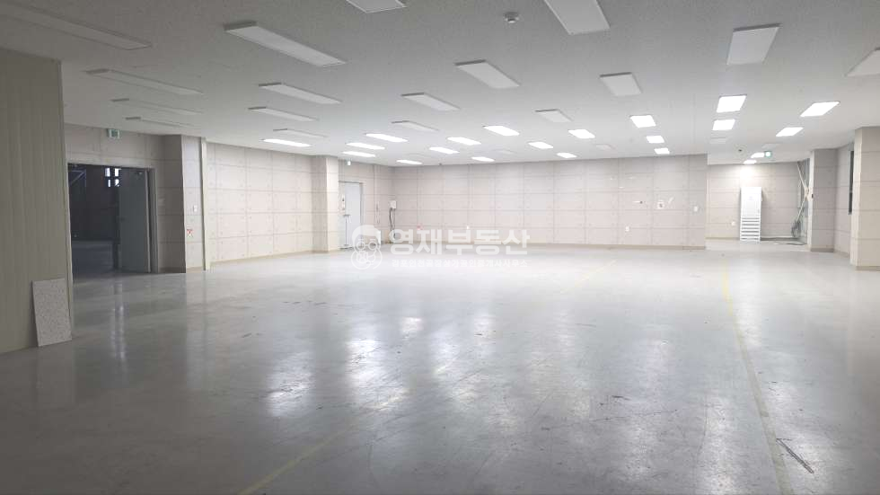 경기 김포시 양촌읍 학운리 학운산업단지내 단독공장 본사로 사용가능한 매물 월세 매물번호 11909 사진 5