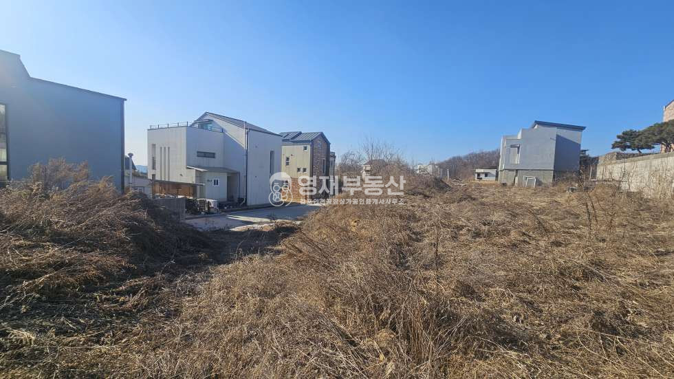 경기 김포시 양촌읍 학운리 전원주택부지 초저렴 급매 매매 매물번호 10348 사진 9