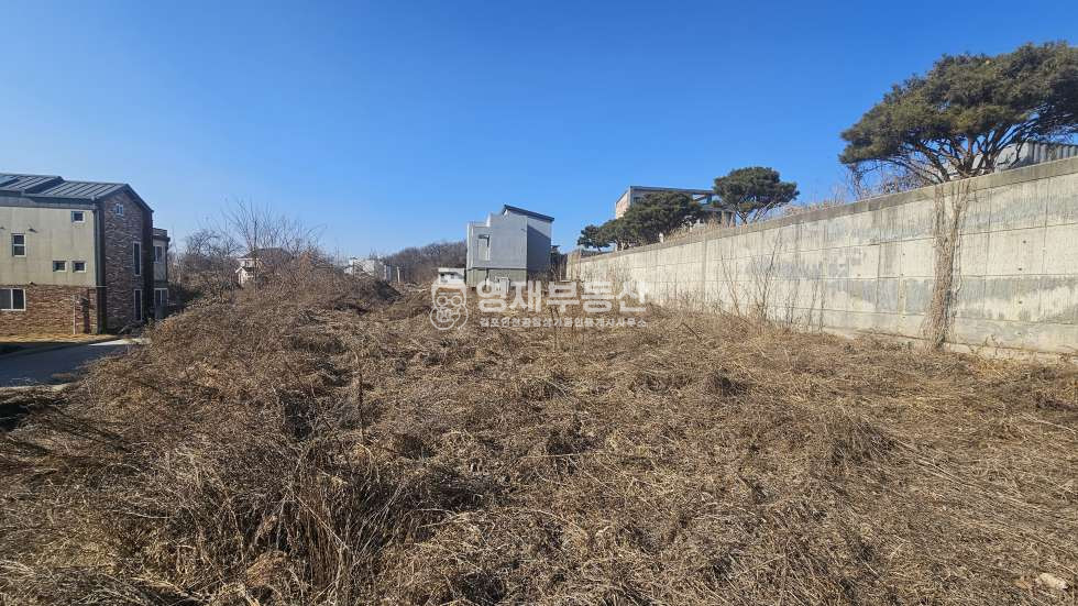 경기 김포시 양촌읍 학운리 전원주택부지 초저렴 급매 매매 매물번호 10348 사진 10